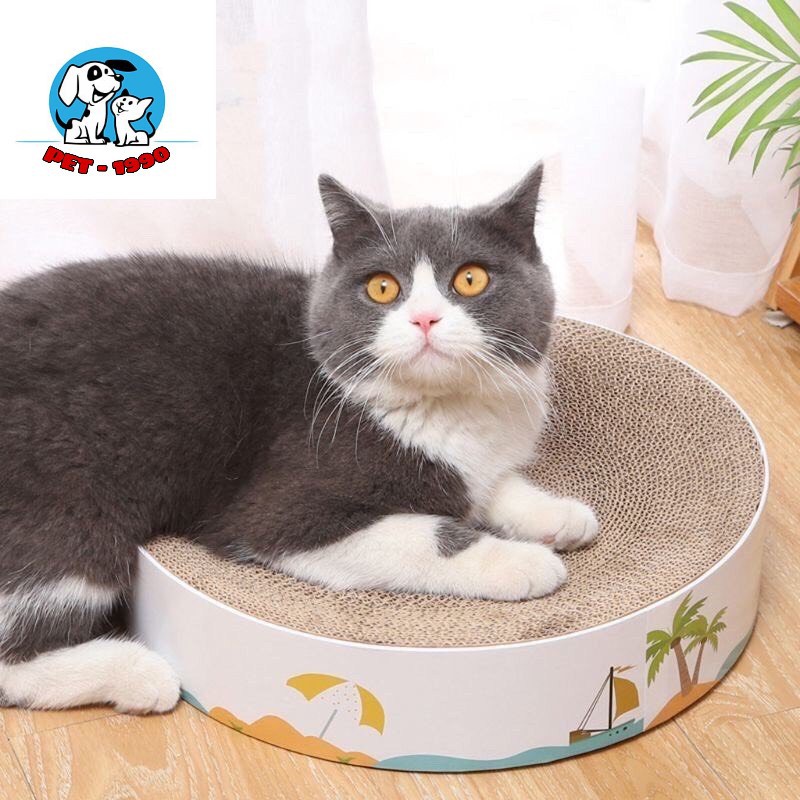 Bàn Cào Móng Hình Tròn - Ổ Nằm Cho Mèo (tặng 1 gói catnip giúp mèo thư giãn)