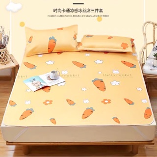 Chiếu Điều Hoà Kèm Gối ( có ảnh thật )