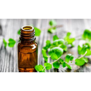 Tinh dầu Bạc hà cao cấp lọ 20ml