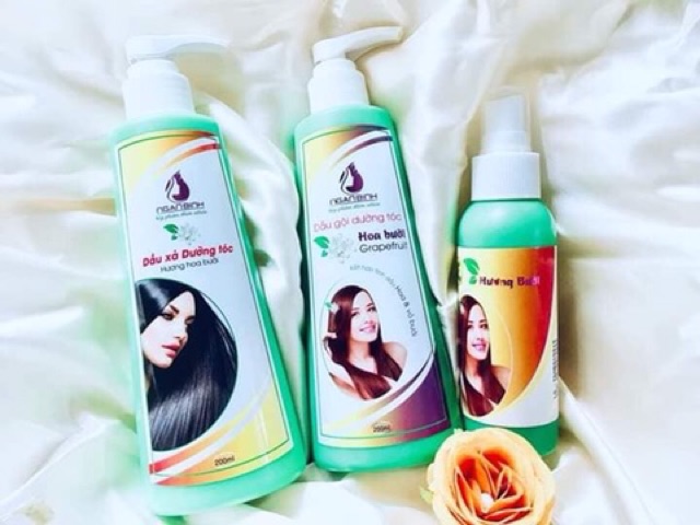 (Ngân Bình)Tinh dầu bưởi, Dầu gội bưởi, dầu xả sữa dừa chính hàng công ty mỹ phẩm Ngân Bình ( Có tem điện tử ) | BigBuy360 - bigbuy360.vn