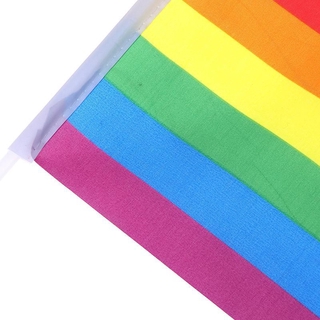 Set 5 Lá Cờ Cầu Vồng Lgbt