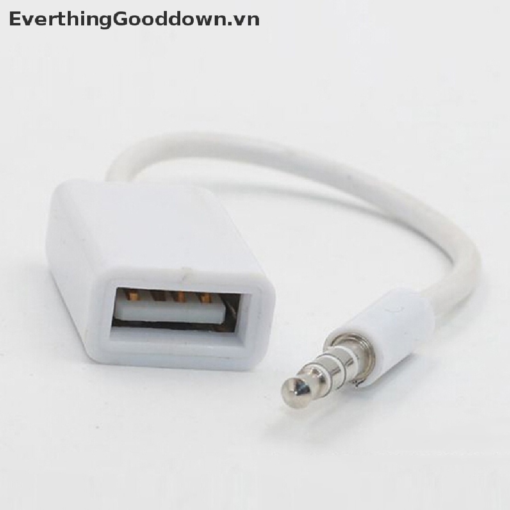 Everthingood Dây Cáp Chuyển Đổi Âm Thanh Từ Giắc Cắm 3.5mm Sang Cổng Cắm usb 2.0 mp3 Dành Cho Ô Tô