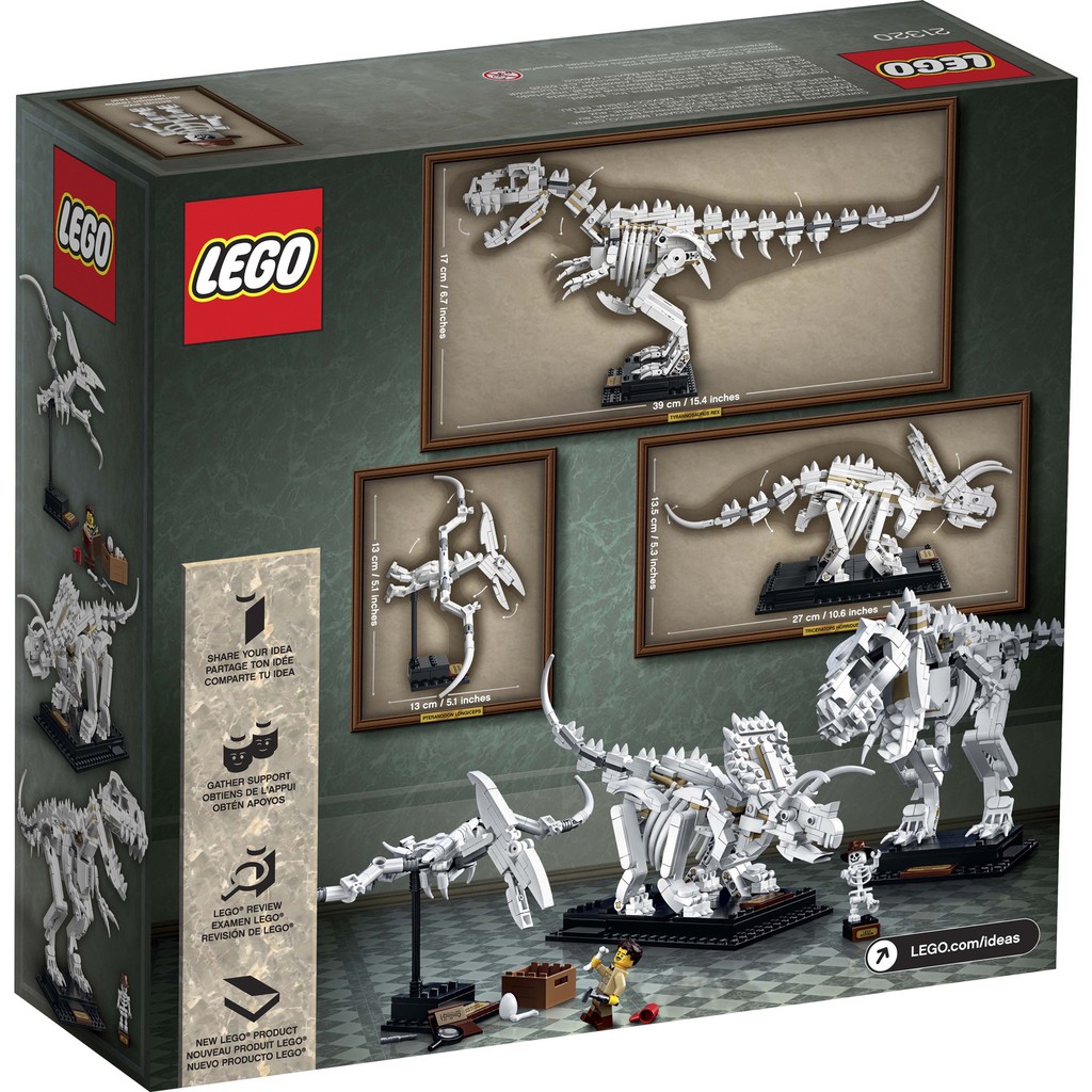 21320 Đồ chơi lắp ráp Iego Ideas Dinosaur Fossils - Hóa thạch khủng long