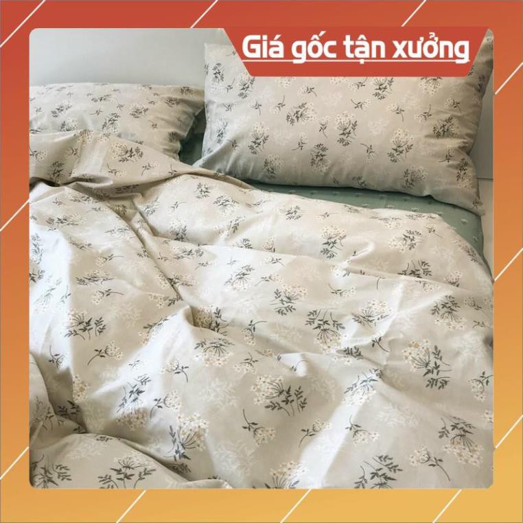 Bộ chăn ga và gối cotton living -mẫu hoa nhí-luis bedding shop miễn phí bo chun theo kích thước