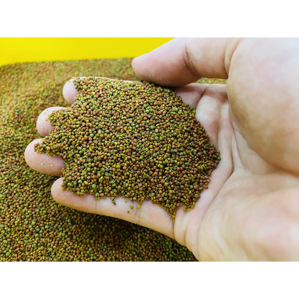 TROPICAL SUPERVIT - Thức ăn Cao cấp cho Các dòng Cầu vồng, thần tiên, đĩa, hải hồ, ali...