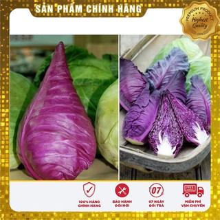 -35K COMBO 10 LOẠI RAU CẢI VỤ THU ĐÔNG