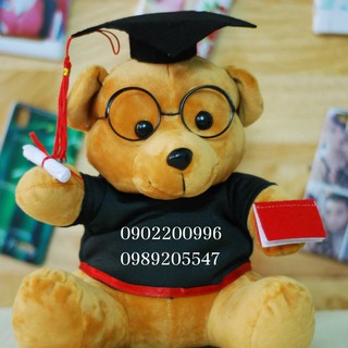 Gấu cử nhân lẻ giá sỉ