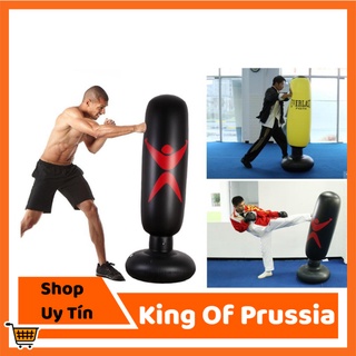 Trụ đấm bốc phản xạ 2.0 lớn - king of prussia