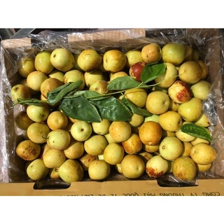 q8 Hồng táo loại đặc biệt nhập khẩu túi 500gr trái cây tươi