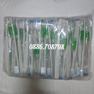 Bàn chải khách sạn 100 cây