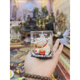 Mèo Thần Tài May Mắn Thái Lan