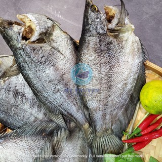 KHÔ CÁ SẶC CÀ MAU CHÍNH GỐC🐟🐠ƯỚP LẠT CHẮC THỊT PHƠI KHÔ BỤNG CÂN ĐỦ KÝ- 500GR/1KG