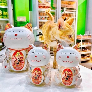 Kẹo socola mèo thần tài