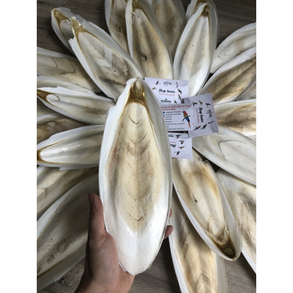 Nan mực dùng cho vẹt , yến , các dòng chim finch,...