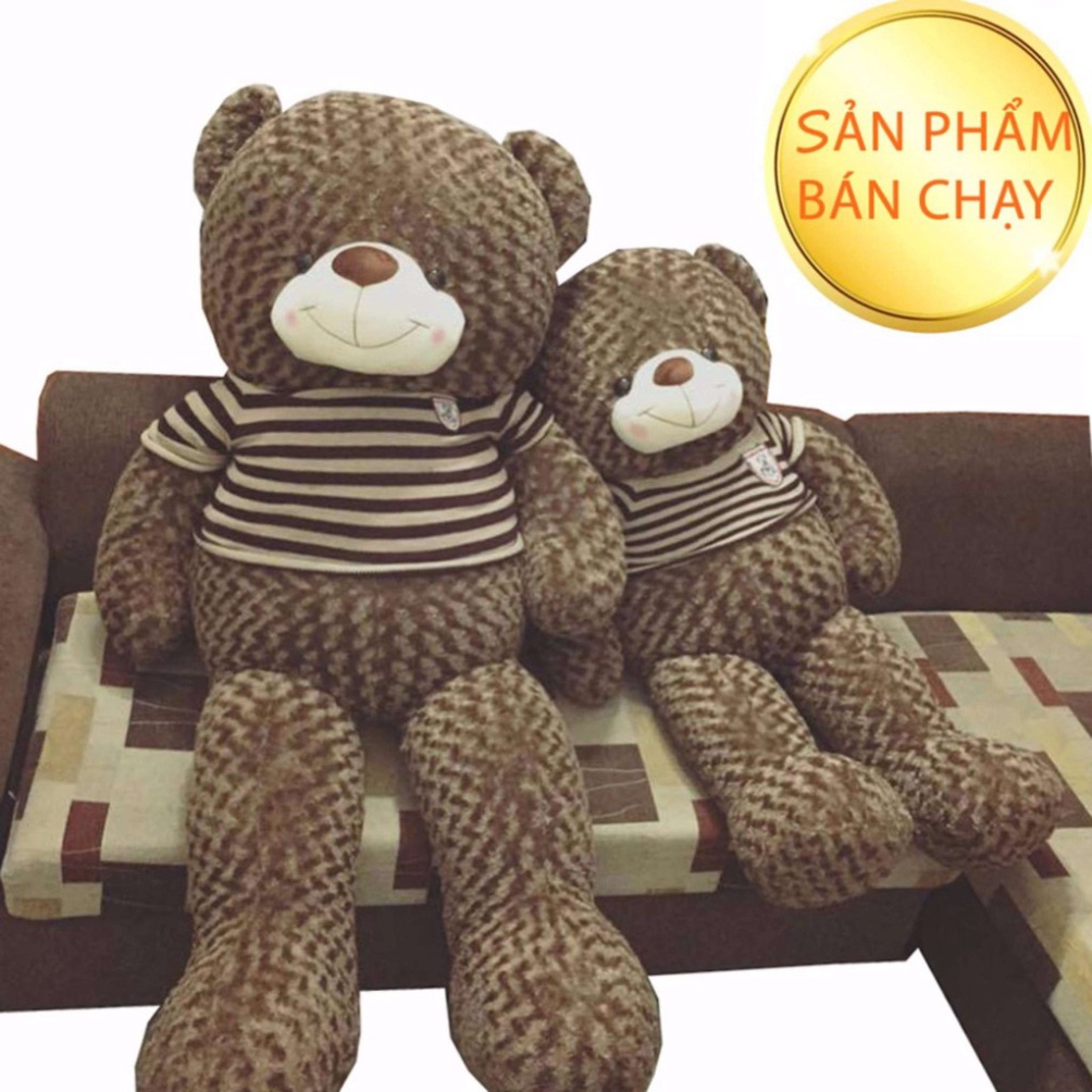 Gấu Teddy 1m1 1m3 lông mềm mượt Siêu Đáng Yêu Ôm Siêu Phê - Giá Tại Xưởng