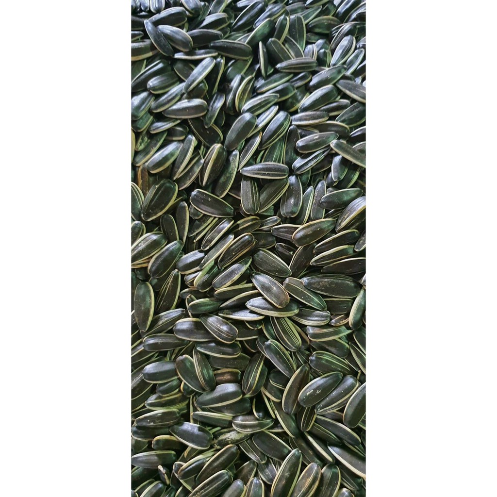 Hạt dưa, Hạt bí, Hạt hướng dương Loại đặc biệt, Túi 500gr | BigBuy360 - bigbuy360.vn