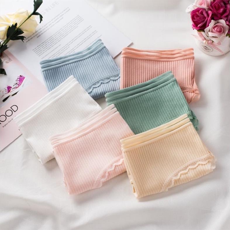 [Giá sỉ] Quần Lót Cotton Tăm Viền Ren Cao Cấp