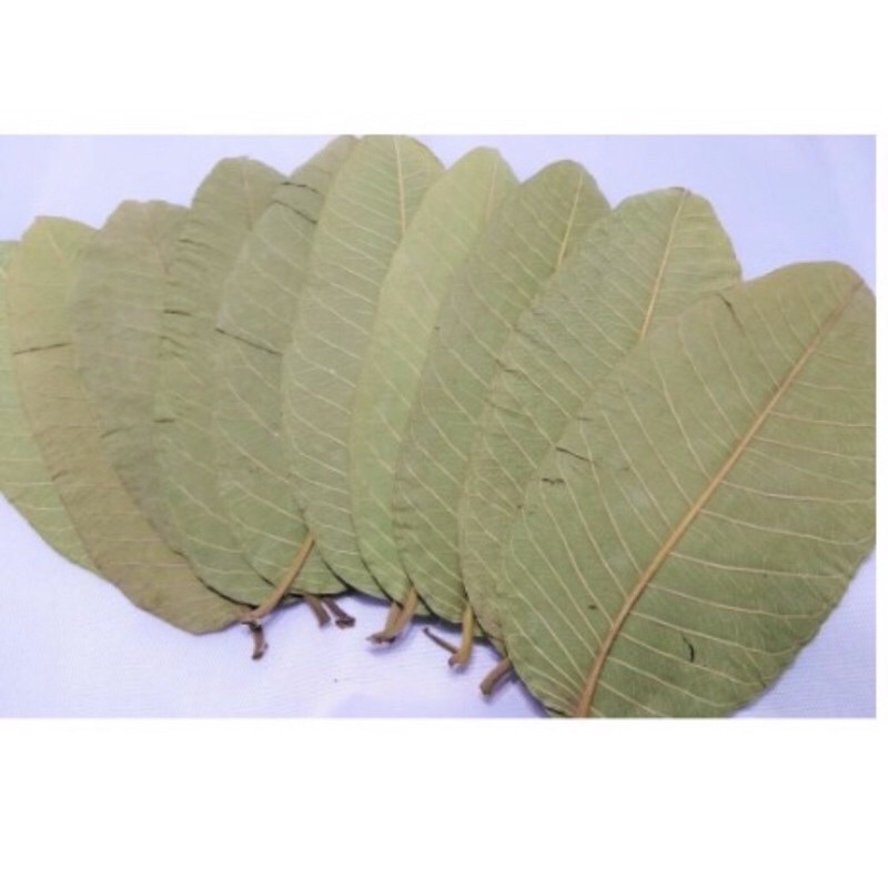 LÁ ỔI SẤY KHÔ 100g