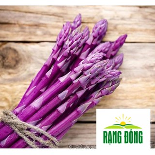 10h hạt giống rau măng tây tím luykyseedvn