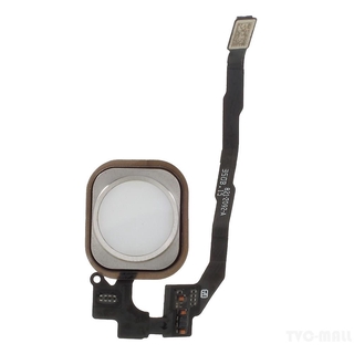 Cáp Nút Home Thay Thế Cho Iphone Se 5s