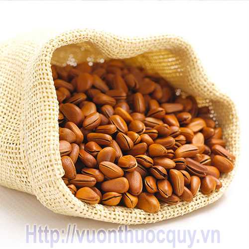 Hạt thông nhập Mỹ 500Gr