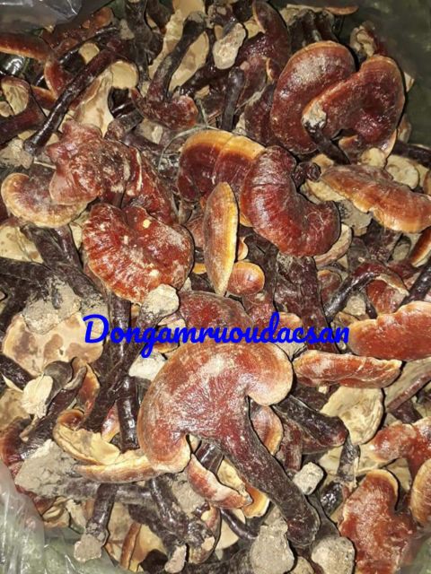 Nấm lim xanh Tây Bắc[1kg] chuẩn y hình