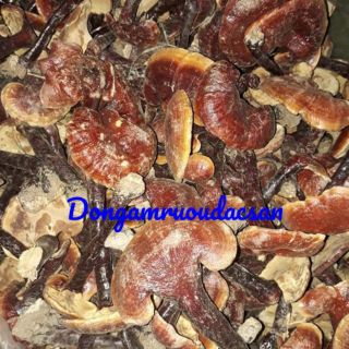Nấm lim xanh Tây Bắc[1kg] chuẩn y hình