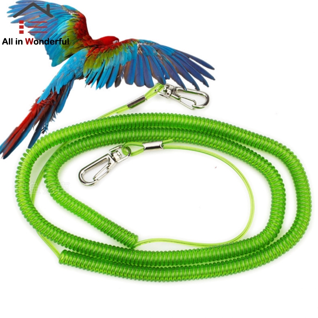 8# Outdoor Flying Elastic Rope for Parrot Birds Training Random Color