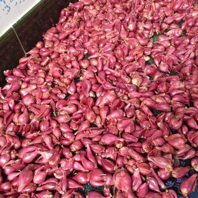 1Kg Hành Tím Lý sơn