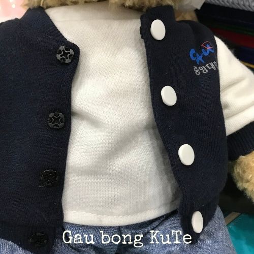 Gấu bông Teddy