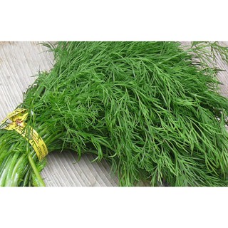 hạt giống rau thì là 10gram