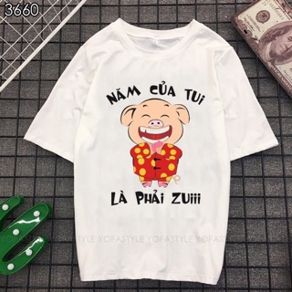 Bộ hình áo thun con heo
