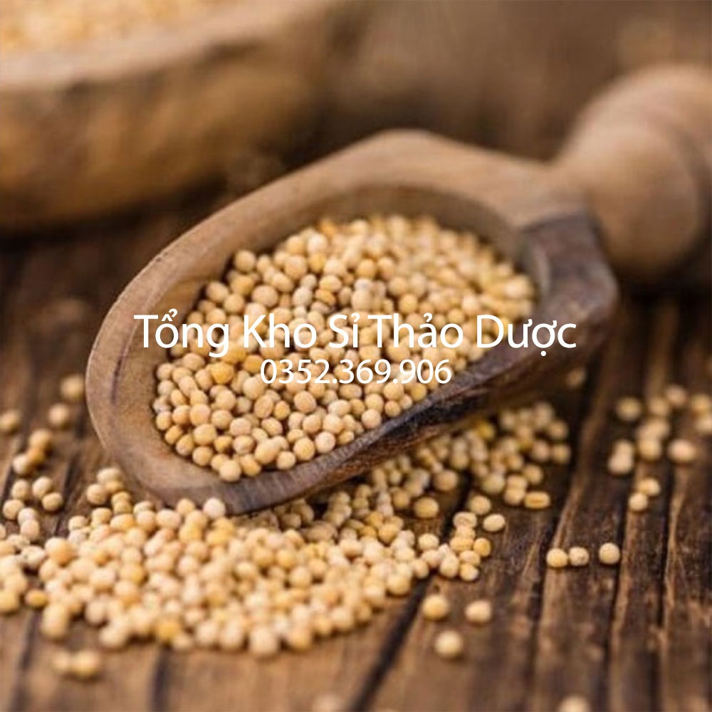 Bạch giới tử 1kg (Hạt cải khô, tốt cho phế quản, giảm ho đờm)