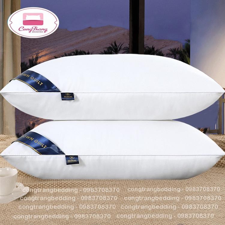 Ruột Gối Đầu Cao Cấp Pillow Ép Hơi, Có Khoá Kéo - Nhiều Màu Tiêu Chuẩn 5* Kích Thước 45x65cm