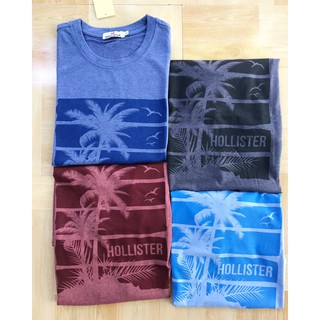 Áo thun nam Hollister cổ tròn [xuất xịn]