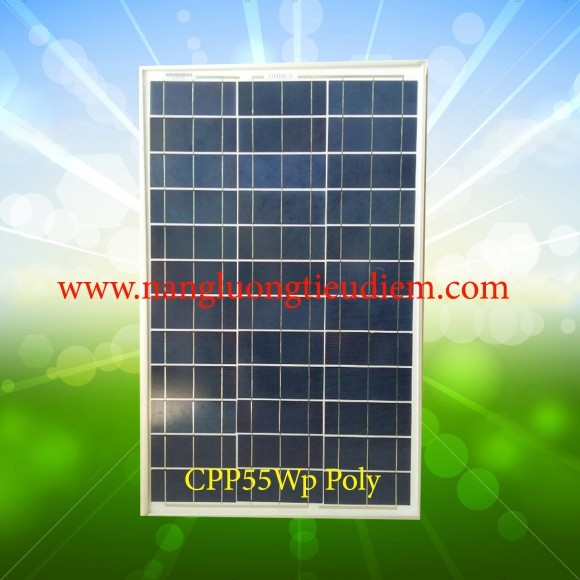 [FREESHIP 99K]_Pin năng lượng mặt trời 12V 55W Poly - CPP55W Poly