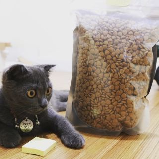 CATSRANG 1kg cho mèo 🐈🐈🐈
