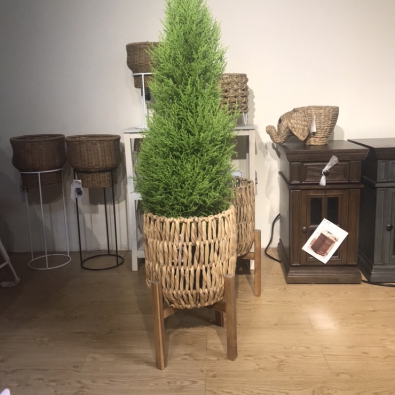 Sọt cây/ chậu cây hàng xuất Canada giá web 30-40$