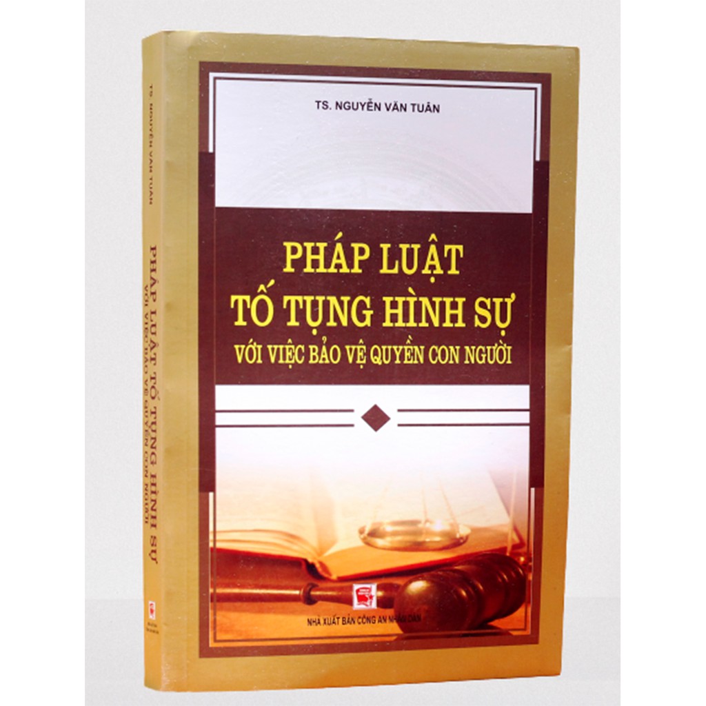 Sách - Pháp luật tố tụng hình sự với việc bảo vệ quyền con người | BigBuy360 - bigbuy360.vn