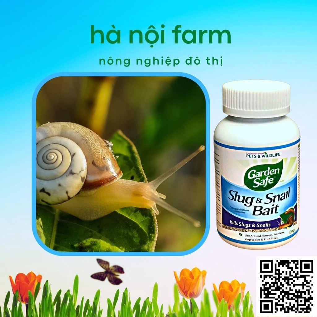 Bả Diệt Sên nhớt, bả sên Mỹ Slug & snail Bait Garden safe - hũ 100g