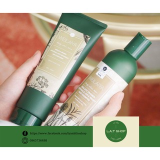 Cặp dầu gội xả gừng hà thủ ô kích mọc tóc Weilaiya