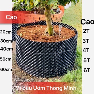 Vĩ bầu ươm cây thông minh v.7 cao 60cm,50cm,40cm,30cm,20cm.(Đơn giá 1m tới)