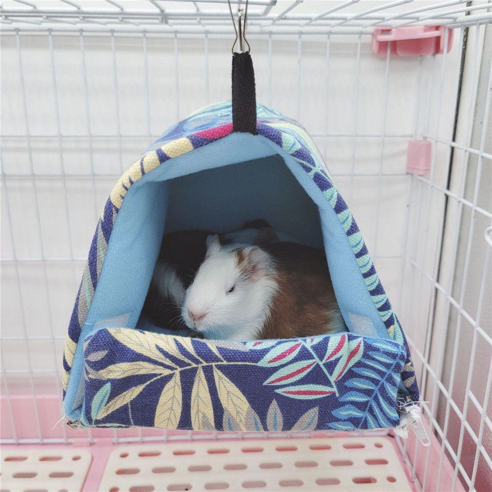 Võng Ngủ Cho Chuột Hamster 1 Ngủ Trong Mùa Đông Thoải Mái