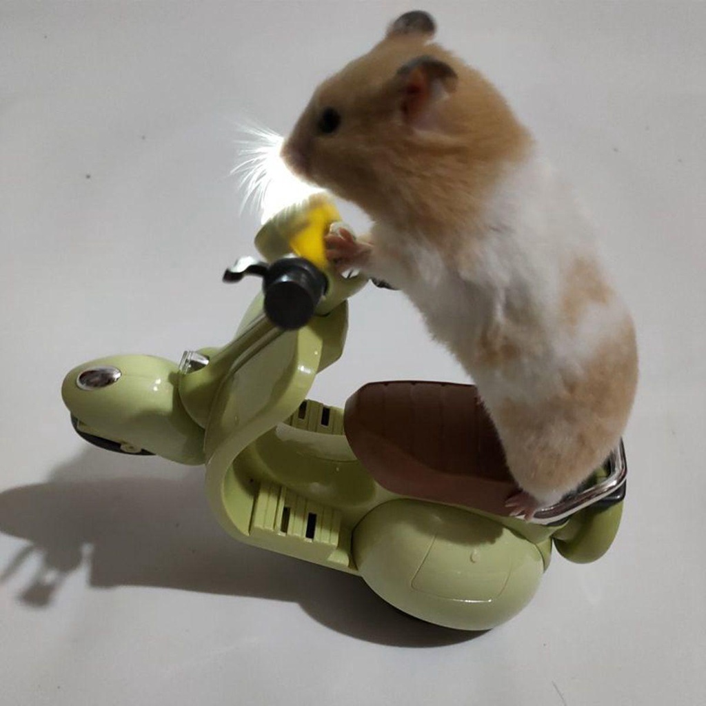 Đồ chơi YIYU điện tử xoay 360 độ cho chuột hamster