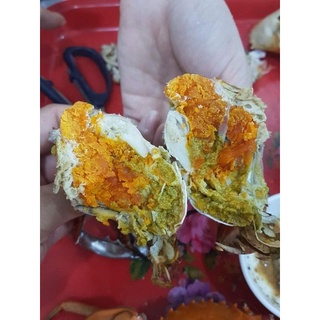 Cua chính gốc Cà Mau