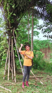 Hạt đác tươi