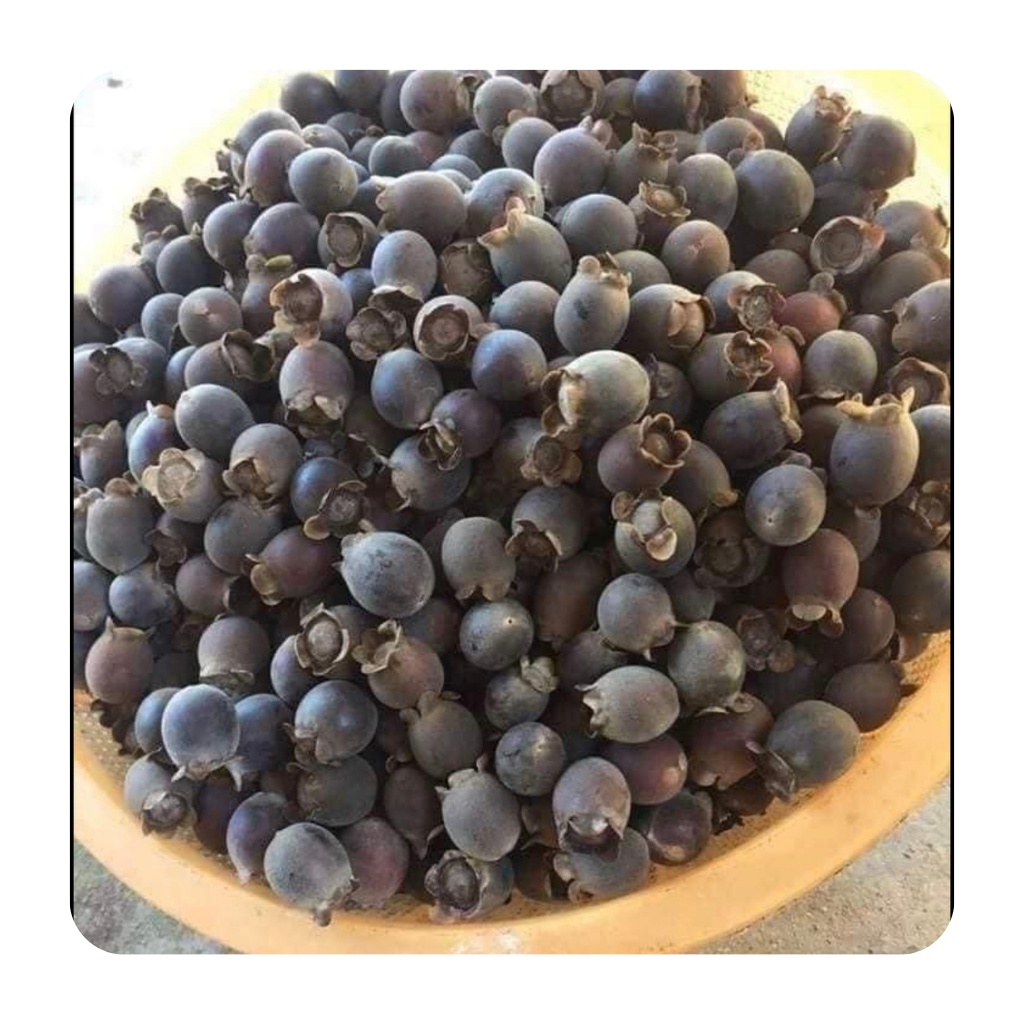 Sim rừng khô loại 1 hàng mới hỗ trợ hệ tiêu hoá, tăng cường sinh lý túi 1kg | BigBuy360 - bigbuy360.vn