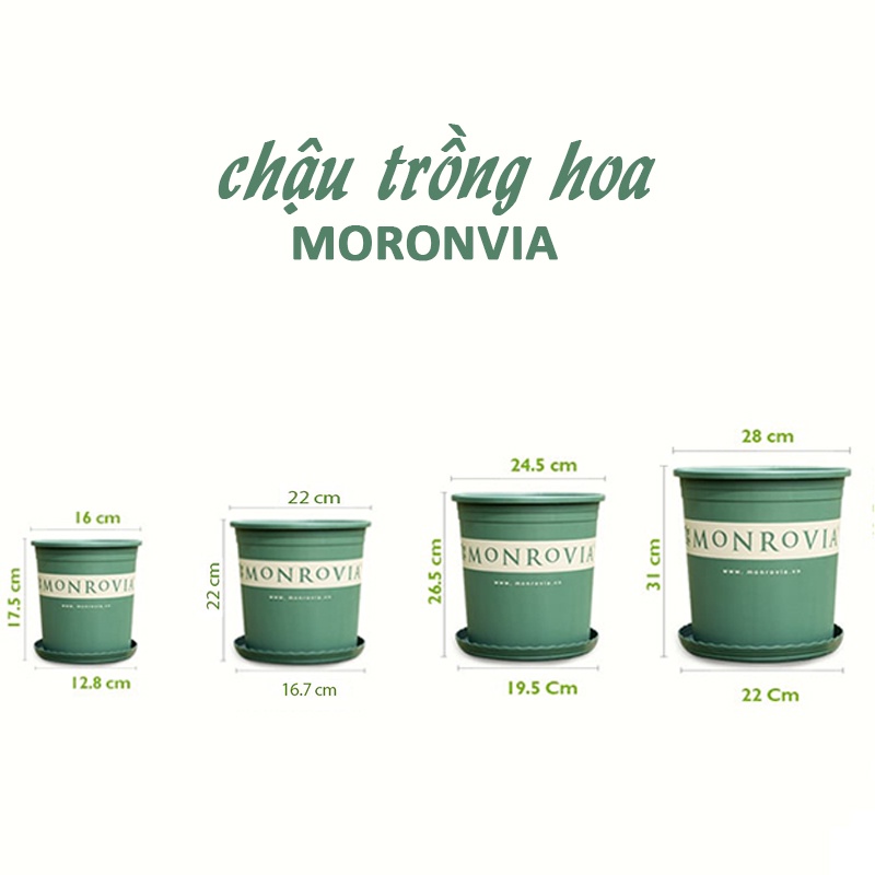 [chỉ hỏa tốc] Chậu Trồng Rau, Hoa Thông Minh