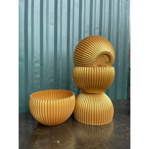 Chậu Gân sọc để bàn màu Vàng Đồng derco siêu siêu đẹp ạ - Ảnh thật