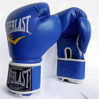 Găng tay boxing Everlast cao cấp